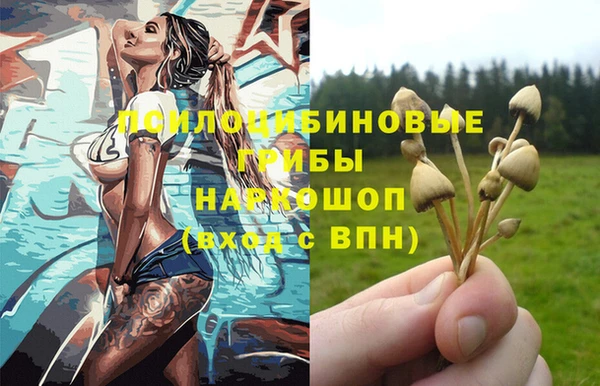 гидропоника Касимов