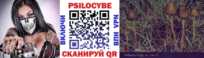 Псилоцибиновые грибы мухоморы  Купить закладки  Нариманов 
